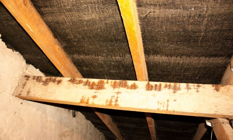 Bathroom Water Damage Repair in Santa Rosa, CA