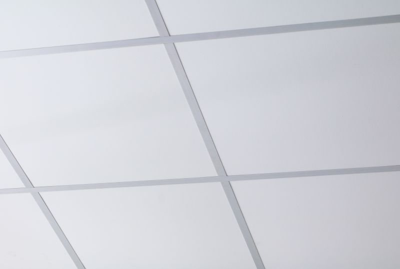 Suspended Ceiling Panels