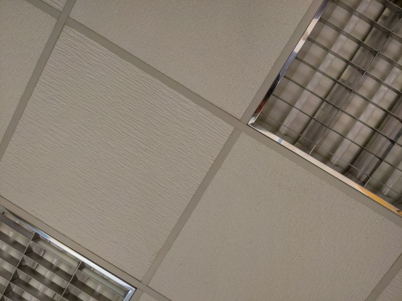 Drop Ceiling Panels and Grid